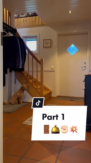 Effective Ways to Stop Cockapoos from Barking | Part 1