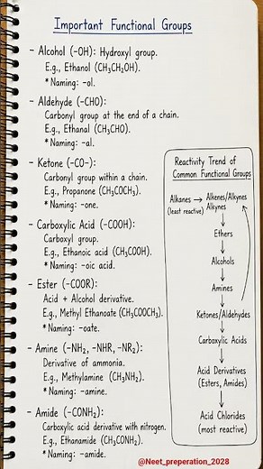🧪 Important Functional Groups in Organic Chemistry | Class 11 NEET/JEE Quick Revision 📖⚡