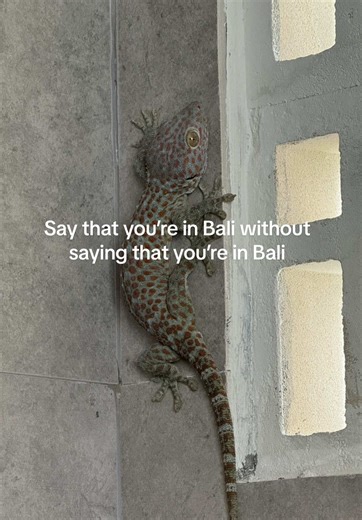 Experiencing Everyday Life in Bali