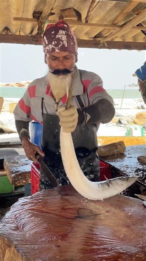 Don't Try This at HOME! 🥵 AMAZING Barracuda Fish Cutting Skills by an EXPERT #shorts #cuttingskills