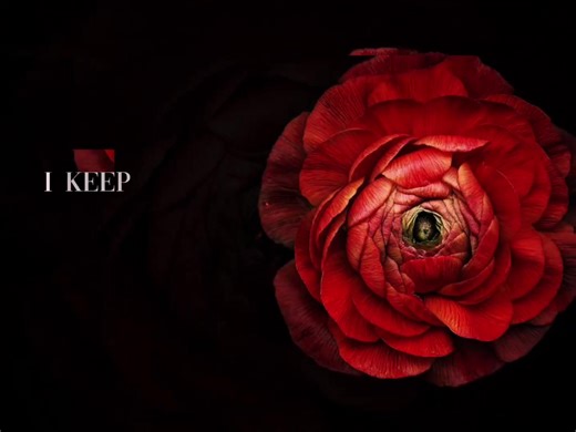 Gangsta by Akon - Lyrics Breakdown