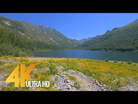 Nature Walk - UHD Virtual Hike with Soothing Music - Trailer