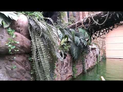 World Discovery Museum Porto