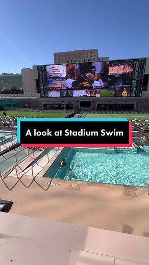 It’s a pool for marinating people #vegas #lasvegas #vegasstarfish #stadiumswim #dtlv #downtownlasvegas #fremontstreetexperience #vegaspool #vegaspoolparty #vegasdayclub #vegaslocal #vegastok