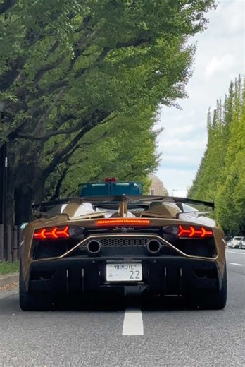 Lamborghini Aventador Idling: A Symphony of Power