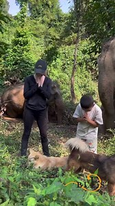 198K views · 10K reactions | WE DID IT‼️ 拾拾 Thanks to YOU and...