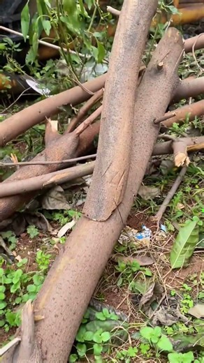 #welding #cablewirestrippingmachine