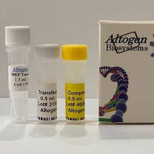 MEF Transfection Reagent (Mouse Fibroblast Cells)