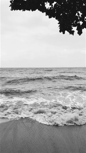 Relaxing Ocean Waves in Black & White | Peaceful Beach View