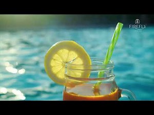 Introducing the New Addition to the Firefly Luxury RV/Cottage Resort Collection: Firefly Canyon Lake