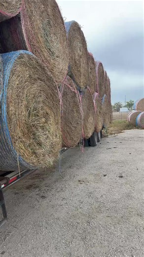 #fyp #food #farmlife #2025