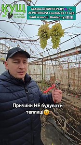 4.1K views · 3.2K reactions | Причини НЕ будувати теплиці‍ САДЖАНЦІ...