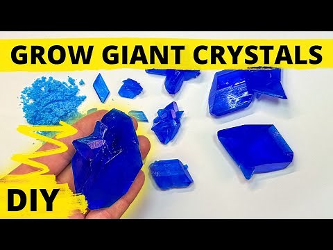 How to Grow Giant Crystals at Home 💎 DIY growing copper sulfate crystals