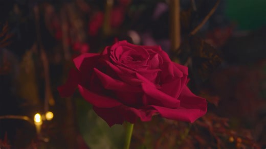 789 reactions · 38 shares | The fans couldn't get enough of Disney's #SnowWhite when we brought the classic fairytale to life at our special event screening ✨❤️ | Disney | Facebook