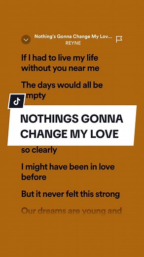 REYNE - Nothing's Gonna Change My Love | Official Lyrics Video