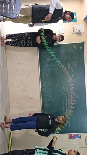 Transverse Waves in a String