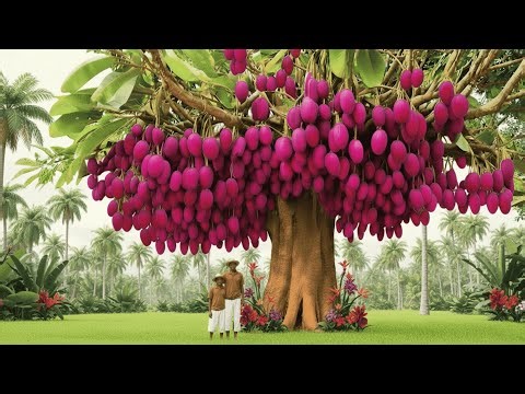 20 Most Incredible and Unique Giant Trees in the World – Even Scientists Are Shocked!