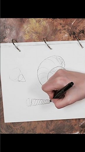 How to Draw a Shell
