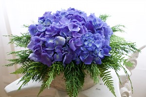 43K views · 423 reactions | DIY Hydrangea Centerpiece Tutorial! Foam from Jacobson Floral Supply Container from Hobby Lobby | Nick's Seasonal Décor | Facebook