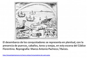 Agricultura y ganadería en la Nueva España - Historia Segundo de Secundaria