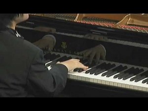 Nobuyuki Tsujii 辻井伸行 THE Cliburn 2009 SEMIFINAL RECITAL ベートーヴェン ピアノソナタ ハンマークラヴィア第二楽章 (前半)