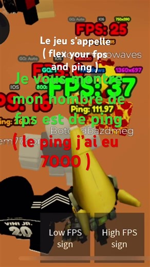 Le jeu s’appelle ( flex your fps and ping )