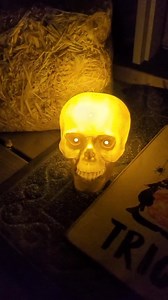 LED Light up Skull (2 Pack): Hand Painted Halloween Gothic Decor - Etsy