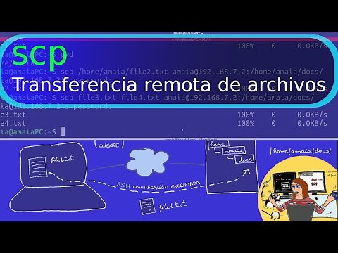scp : remote file transfer
