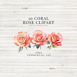 10 Unique Coral Pink Salmon Roses - Etsy