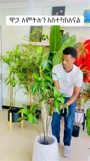 eyob tesfaye on Instagram: "#ethiopia #viralvideos #foryou"