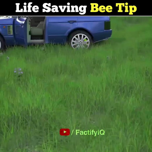 339K views · 3.1K reactions | How To Survive A Swarm Of Bees #Facts #reels #trending #reelsfacebook #gkindia #knowledge #learning #education #viralreels | The Factifyiq | Facebook