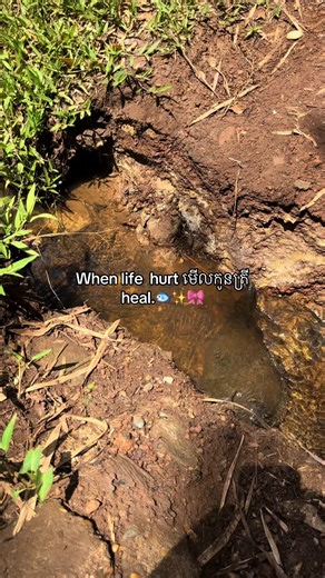 How to Heal Your Fish: A Step-by-Step Guide