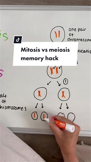 I hope this makes at least a tiny bit of sense? I know this can feel like a really confusing topic! #gcses #student #gcsebiology #biology #learning