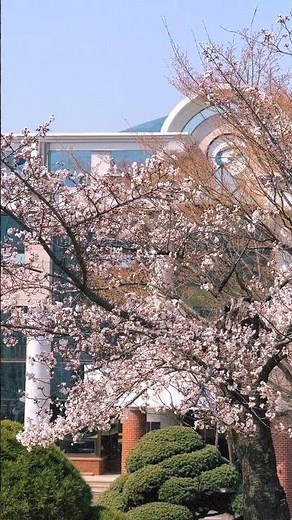 가천의 봄｜가천대 글로벌캠퍼스 봄 풍경🌸 캠퍼스 예쁜 대학교