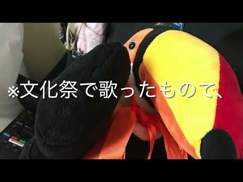 ストロボライト【文化祭で歌ったver.⚠️音痴】