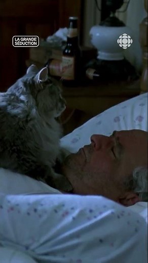 Journée internationale du chat | Extrait du film « La grande séduction » de Jean-François Pouliot