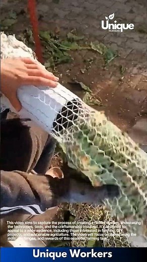 Fodder system: creating a livestock feeding system