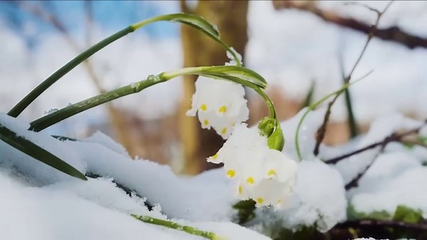 Friday, December 8 One Word Reflection | Resurrection Catholic Parish, Green Bay | Facebook