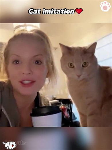Cats: The Best Imitators of Human Behavior