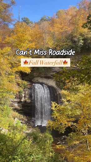 1.6K views · 820 reactions | If you’re planning to visit WNC this...