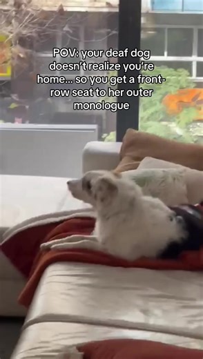 Poppy's Hilarious Monologue When Home Alone