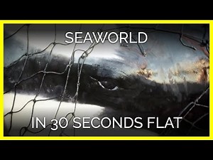 SeaWorld in 30 Seconds Flat