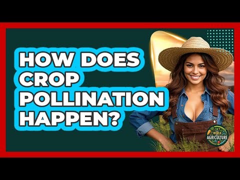 How Does Crop Pollination Happen? - The World of Agriculture