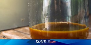 6 Fakta Menarik Madu Klanceng, dari Jenis Lebah hingga Manfaatnya