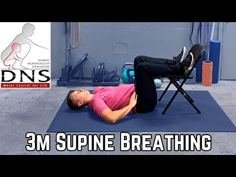 3-Month Supine Breathing (Supported) — Dynamic Neuromuscular Stabilization (DNS)