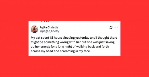 21 Of The Funniest Posts About Cats And Dogs This Week (Aug. 16-22)