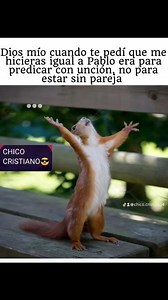 I like long romantic walks… to the fridge | Chico Cristiano