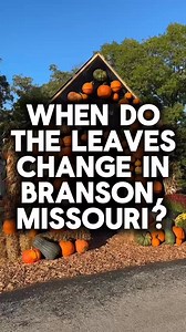 🍁 When do the leaves change in Branson, Missouri? Here’s your fall foliage guide: First colors appear late September to early October. Peak fall foliage is mid to late October. By early November, most leaves are gone. If you’re planning a Branson fall trip, this is the best time to see the Ozark Mountains at their most colorful. Save this for your fall vacation planning! | Satirah Loves Branson