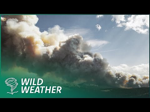 The Extreme Natural Disasters Of 2015 | Disaster Diaries