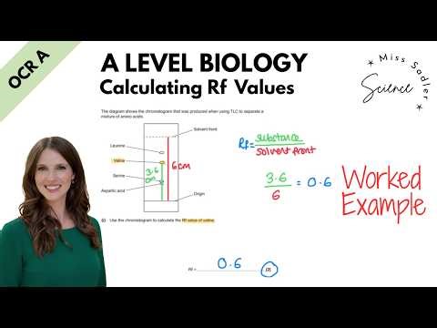 A Level Biology Calculating Rf Values worked example